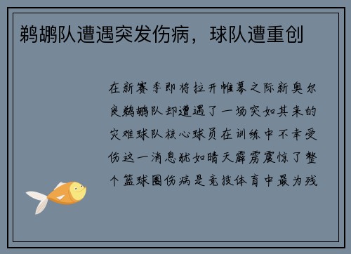 鹈鹕队遭遇突发伤病，球队遭重创